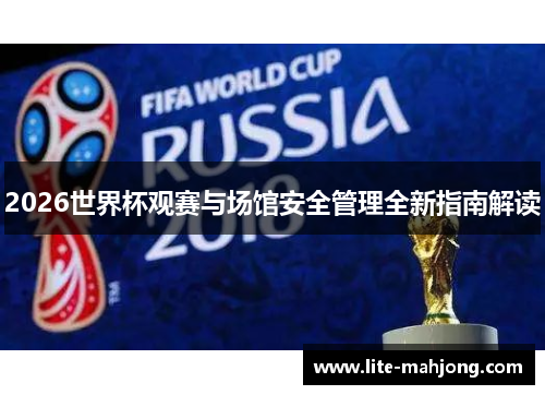 2026世界杯观赛与场馆安全管理全新指南解读