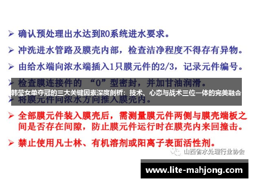 韩莹女单夺冠的三大关键因素深度剖析：技术、心态与战术三位一体的完美融合