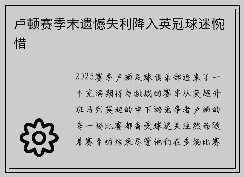 卢顿赛季末遗憾失利降入英冠球迷惋惜