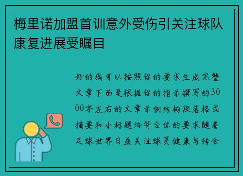 梅里诺加盟首训意外受伤引关注球队康复进展受瞩目