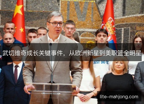 武切维奇成长关键事件，从欧洲新星到美职篮全明星